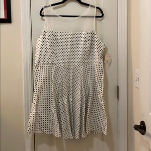 Modcloth White black polka dot lace yoke dress NWT